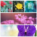 Mở hộ kinh doanh cầm đồ tại Thừa Thiên Huế 3 Muốn mở hộ kinh doanh cầm đồ tại Thừa Thiên Huế