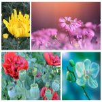 Mở hộ kinh doanh cầm đồ tại TPHCM 6 Muốn mở HKD cầm đồ tại TPHCM