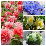 Mở hộ kinh doanh cầm đồ tại Tuyên Quang 3 Muốn mở hộ kinh doanh cầm đồ tại Tuyên Quang