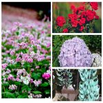 Tạm ngừng kinh doanh văn phòng đại diện tại Bắc Kạn 6 Tìm tạm ngừng kinh doanh VPĐD tại Bắc Kạn
