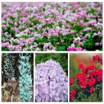 Tạm ngừng kinh doanh văn phòng đại diện tại Hải Dương 6 Tìm tạm ngừng kinh doanh VPĐD tại Hải Dương