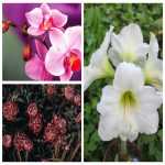 Tìm tạm ngừng kinh doanh VPĐD tại Huyện Thanh Oai