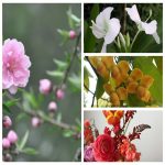 Thành lập cơ sở sản xuất nội thất tại Bến Tre 6 Muốn thành lập CSSX nội thất tại Bến Tre