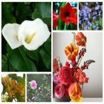 Thành lập cơ sở sản xuất nội thất tại Đà Nẵng 6 Muốn thành lập CSSX nội thất tại Đà Nẵng
