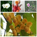 Thành lập cơ sở sản xuất nội thất tại Gia Lai 6 Muốn thành lập CSSX nội thất tại Gia Lai