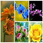 Thành lập cơ sở sản xuất nội thất tại Quận 1 6 Muốn thành lập CSSX nội thất tại Quận 1