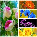 Thành lập cơ sở sản xuất nội thất tại Quận 12 6 Muốn thành lập CSSX nội thất tại Quận 12