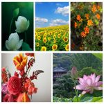 Thành lập cơ sở sản xuất nội thất tại TPHCM 6 Muốn thành lập CSSX nội thất tại TPHCM
