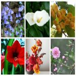 Muốn thành lập CSSX nội thất tại Vũng Tàu