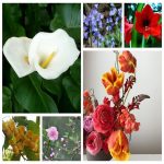 Thành lập cơ sở sản xuất nội thất tại Yên Bái 6 Muốn thành lập xưởng sản xuất nội thất tại Yên Bái