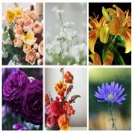 Muốn thành lập doanh nghiệp kinh doanh mỹ phẩm tại Đà Nẵng