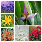 Thành lập công ty kinh doanh mỹ phẩm tại Huyện Mỹ Đức 6 Muốn thành lập doanh nghiệp kinh doanh mỹ phẩm tại Huyện Mỹ Đức