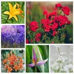 Thành lập công ty kinh doanh mỹ phẩm tại Huyện Quốc Oai 6 Muốn thành lập doanh nghiệp kinh doanh mỹ phẩm tại Huyện Quốc Oai