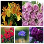 Thành lập công ty kinh doanh mỹ phẩm tại Phú Quốc 6 Muốn thành lập doanh nghiệp kinh doanh mỹ phẩm tại Phú Quốc