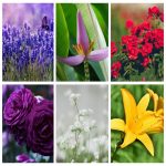 Thành lập công ty kinh doanh mỹ phẩm tại Quận Tân Bình 6 Muốn thành lập doanh nghiệp kinh doanh mỹ phẩm tại Quận Tân Bình