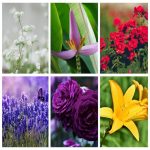 Thành lập công ty kinh doanh mỹ phẩm tại Quận Thủ Đức 6 Muốn thành lập doanh nghiệp kinh doanh mỹ phẩm tại Quận Thủ Đức