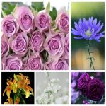 Thành lập công ty kinh doanh mỹ phẩm tại Thái Nguyên 6 Muốn thành lập doanh nghiệp kinh doanh mỹ phẩm tại Thái Nguyên
