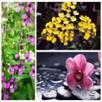 Muốn thành lập doanh nghiệp sản xuất bánh kẹo tại Bến Tre