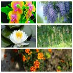 Thành lập công ty sản xuất bánh kẹo tại Huyện Đan Phượng 6 Muốn thành lập doanh nghiệp sản xuất bánh kẹo tại Huyện Đan Phượng