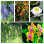 Thành lập công ty sản xuất bánh kẹo tại Quận Thủ Đức 6 Muốn thành lập doanh nghiệp sản xuất bánh kẹo tại Quận Thủ Đức