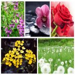 Muốn thành lập doanh nghiệp sản xuất bánh kẹo tại Thành phố Hải Phòng