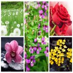 Thành lập công ty sản xuất bánh kẹo tại Yên Bái 6 Muốn thành lập doanh nghiệp sản xuất bánh kẹo tại Yên Bái