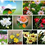 Thành lập công ty tư vấn thiết kế kiến trúc tại An Giang 6 Muốn thành lập công ty tư vấn thiết kế kiến trúc tại An Giang