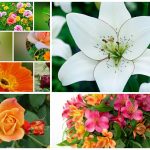 Muốn thành lập công ty tư vấn thiết kế kiến trúc tại Huế