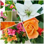 Muốn thành lập công ty tư vấn thiết kế kiến trúc tại Thành Phố Hải Phòng