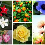 Muốn thành lập doanh nghiệp trọn gói Cần Thơ