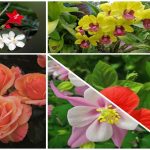 Thành lập doanh nghiệp trọn gói Cao Bằng 6 Muốn thành lập doanh nghiệp trọn gói Cao Bằng