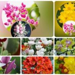 Thành lập doanh nghiệp trọn gói Đà Nẵng 6 Muốn thành lập doanh nghiệp trọn gói Đà Nẵng