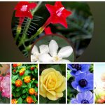 Muốn thành lập doanh nghiệp trọn gói Huyện Kiến Thụy