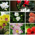 Muốn thành lập doanh nghiệp trọn gói Huyện Từ Liêm