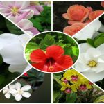 Muốn thành lập doanh nghiệp trọn gói Quận Bắc Từ Liêm