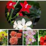 Muốn thành lập doanh nghiệp trọn gói Quận Thanh Xuân
