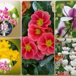 Muốn thành lập doanh nghiệp trọn gói Thành Phố Hải Phòng