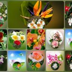 Muốn thành lập doanh nghiệp trọn gói TP Hải Phòng