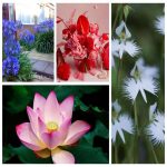 Muốn thành lập  HKD buôn bán phân bón tại Quận 12