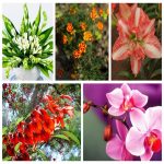 Thành lập hộ kinh doanh quán nhậu tại Hải Phòng 6 Muốn thành lập HKD quán nhậu tại Hải Phòng