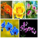 Thành lập hộ kinh doanh quán nhậu tại Hoà Bình 6 Muốn thành lập hộ kinh doan quán nhậu tại Hoà Bình