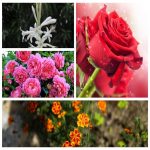 Thành lập hộ kinh doanh quán nhậu tại Quảng Trị 6 Muốn thành lập HKD quán nhậu tại Quảng Trị