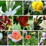 Thành lập văn phòng đại diện ở Đà Nẵng 6 Muốn đăng ký văn phòng đại diện ở Đà Nẵng