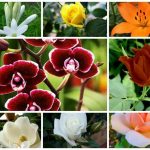 Thành lập văn phòng đại diện ở Hậu Giang 6 Muốn đăng ký văn phòng đại diện ở Hậu Giang