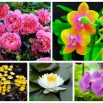 Muốn đăng ký văn phòng đại diện ở Huyện Thủy Nguyên