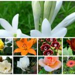 Thành lập văn phòng đại diện ở Huyện Vĩnh Bảo 3 Muốn đăng ký văn phòng đại diện ở Huyện Vĩnh Bảo
