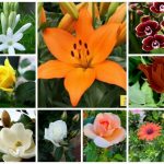 Muốn đăng ký văn phòng đại diện ở Quận Liên Chiểu
