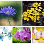 Thành lập văn phòng đại diện ở Quận Sơn Trà 6 Muốn đăng ký văn phòng đại diện ở Quận Sơn Trà