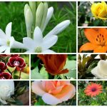  Muốn đăng ký văn phòng đại diện ở Yên Bái