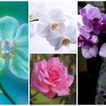 Thành lập văn phòng đại diện tại Huyện Quốc Oai 6 Muốn thành lập văn phòng đại diện tại Huyện Quốc Oai
